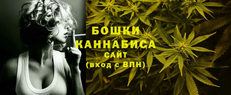 Канабис SATIVA & INDICA  Руза 